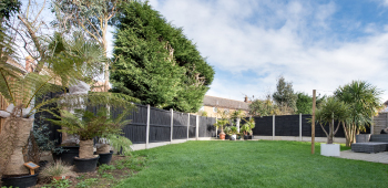 A backyard with a lawn, shrubs and trees.