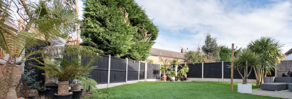 A backyard with a lawn, shrubs and trees.