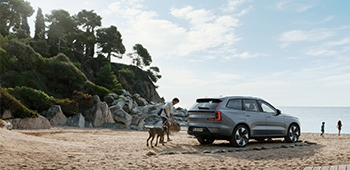 Young family and their dog unpack their Volvo at the beach.