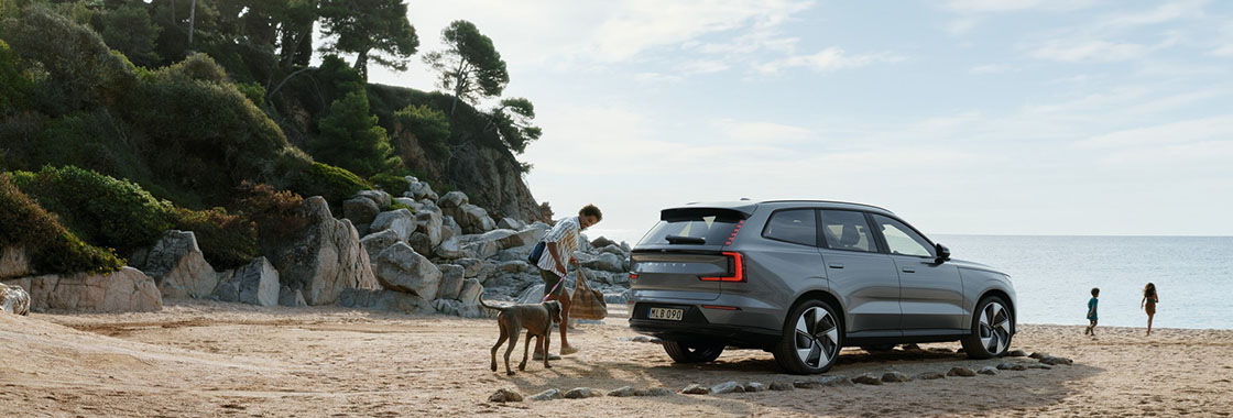 Young family and their dog unpack their Volvo at the beach