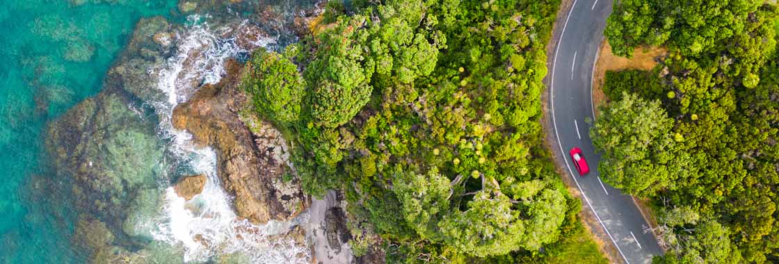 Aerial view of a car driving through national park