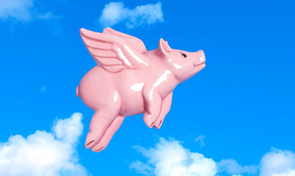 Flying pig