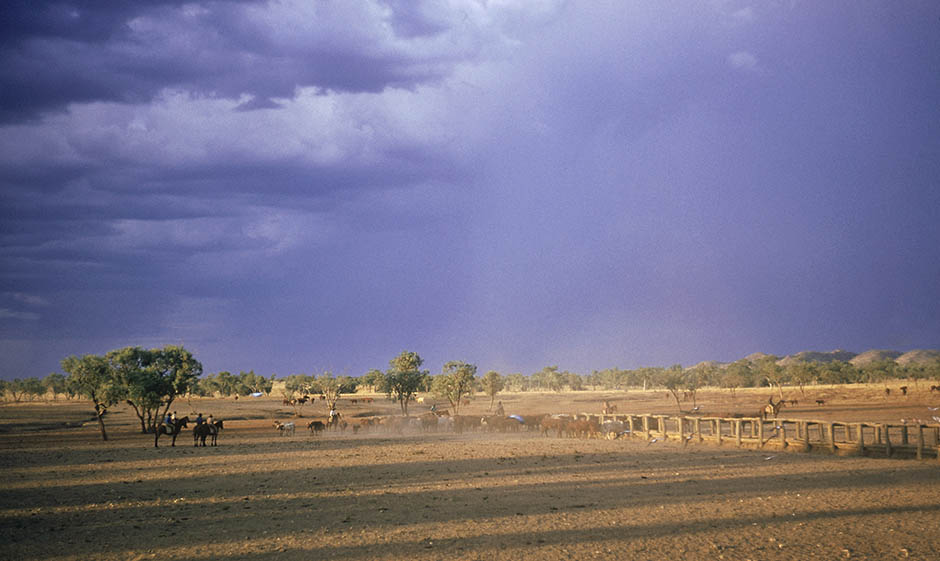 Outback scene