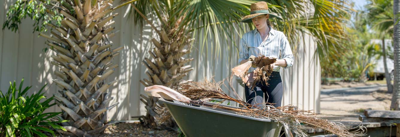A woman placing dead leaves in a wheelbarrow.