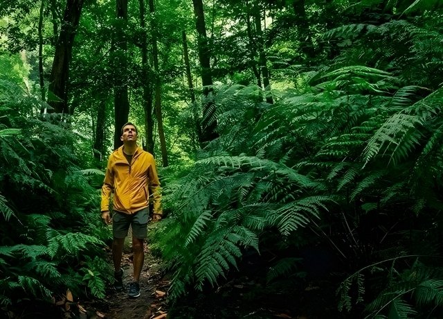 Man walking through an overgrown green forest.
