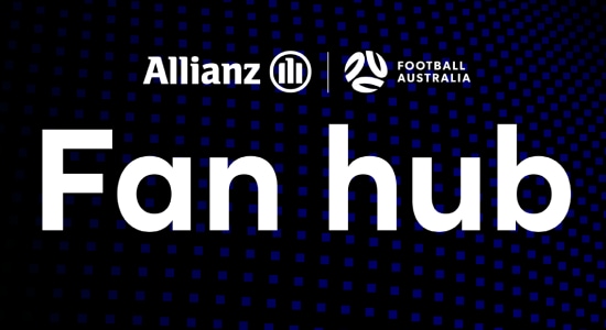 Fan hub logo
