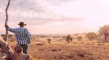 A man leaning on a tree looking over an outback landscape