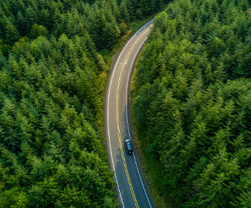 car driving through the forest