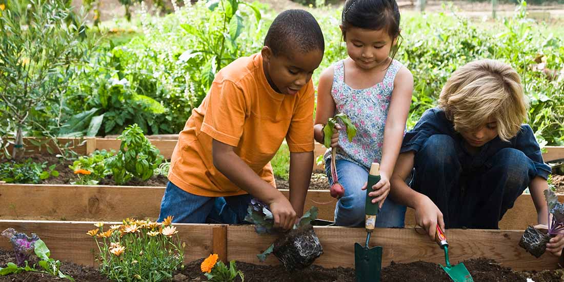 young children planting a garden bed